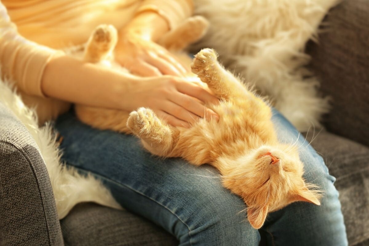 Фото с сайта: https://dzen.ru/a/ZubrEmeujUu4x_ln