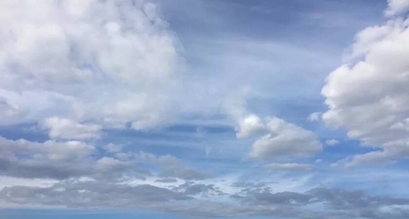    Фото: volgogradru.com