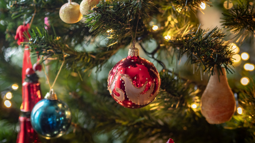    Фото: ИЗВЕСТИЯ/Константин Кокошкин