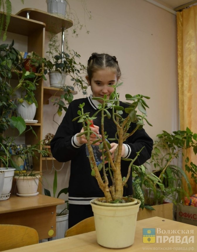     16 самых броских фрагментов 2025 года из жизни Волжского по версии «ВП»
