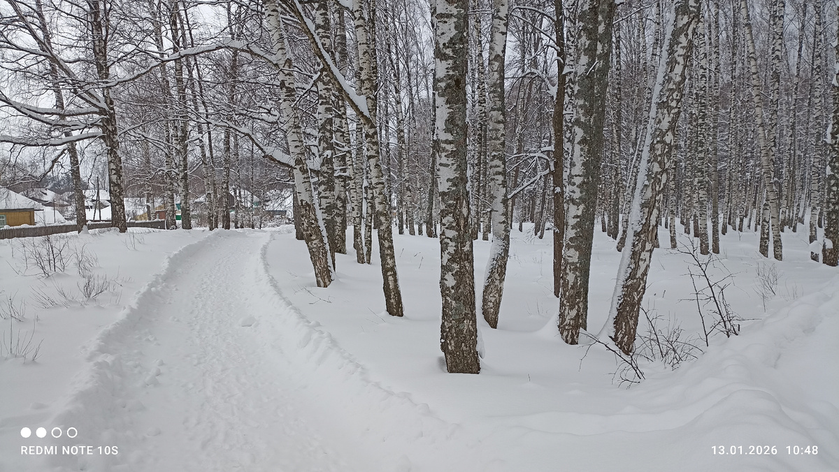  Фото автора.