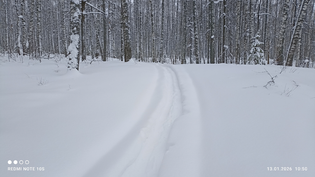  Фото автора.