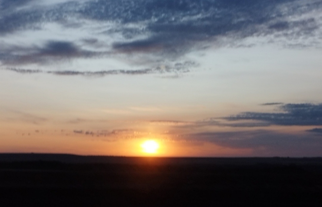 Рассвет Новой жизни... 