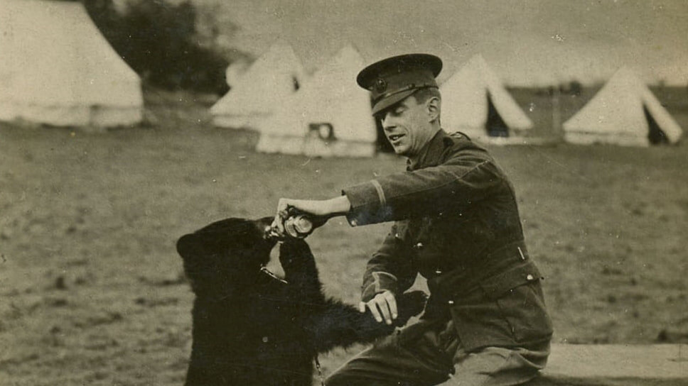 Лейтенант и ветеринар Гарри Коулборн с медведицей Винни на военной базе в Валькартье, Квебек, 1914.📷Фото: Courtesy of Colebourn Family Archives