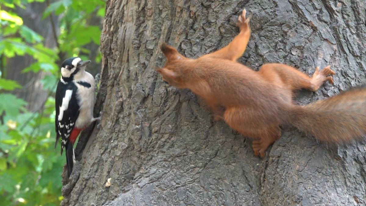 Картинка из сети интерент, спасибо автору.
