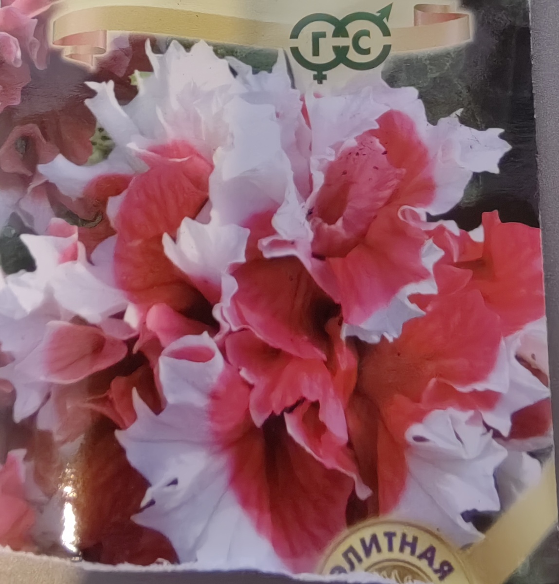 Петуния F1 Пируэт 