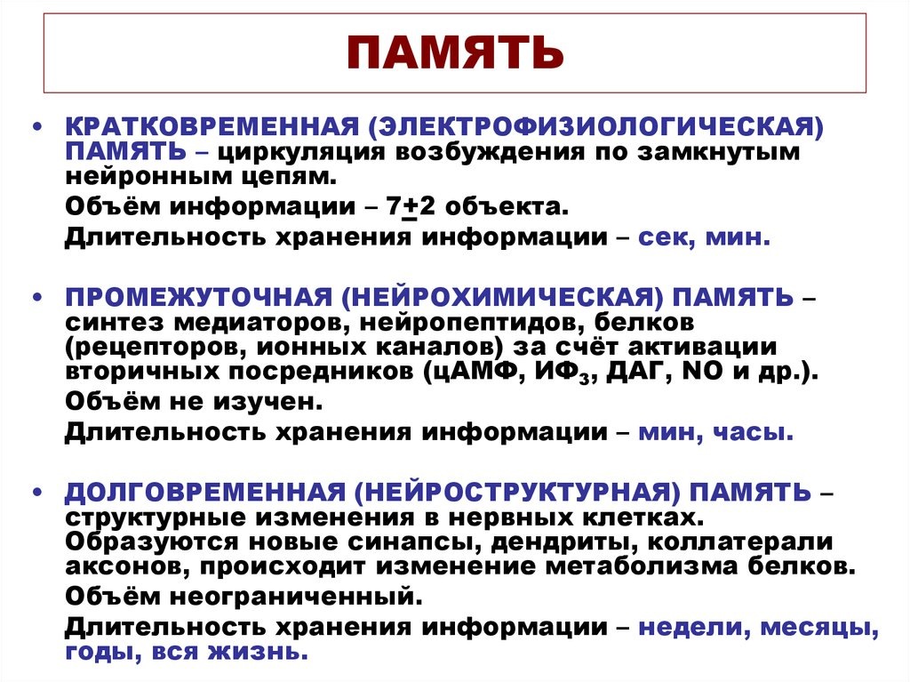 Три типа памяти человека: кратковременная, рабочая и долговременная — как устроена система хранения наших воспоминаний