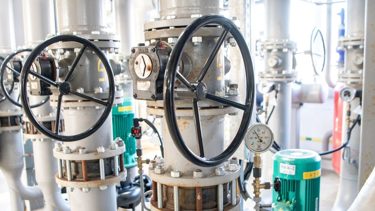    Фото: Юрий Здебский / «Ямал-Медиа»