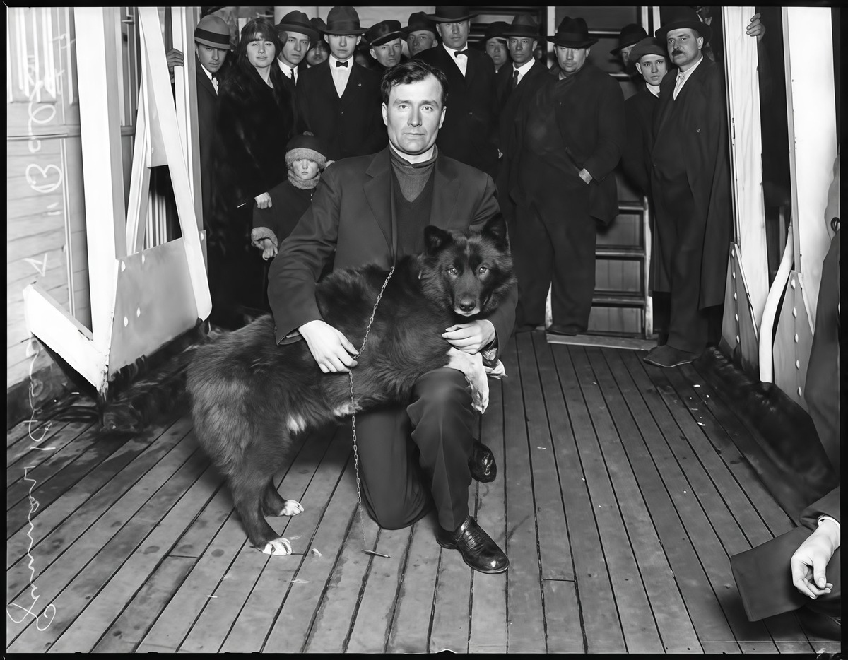    Сибирский хаски, чье имя узнала вся Америка зимой 1925 года