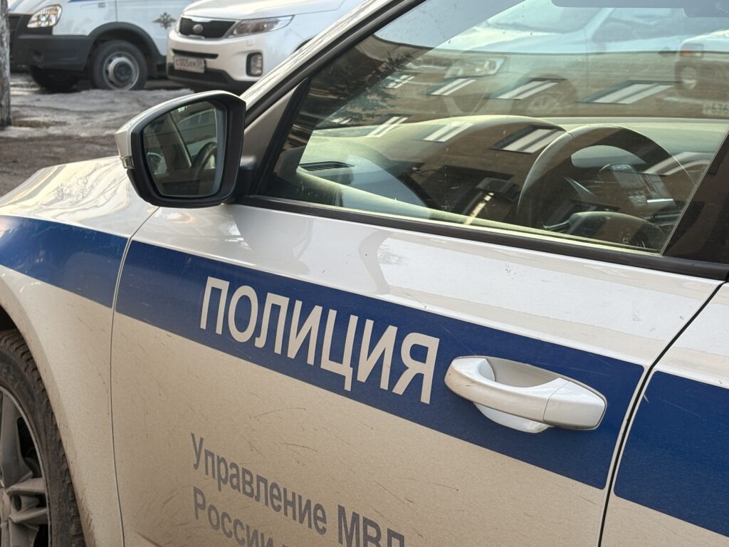    Фото: В курсе.ру Ульяна Бажанова