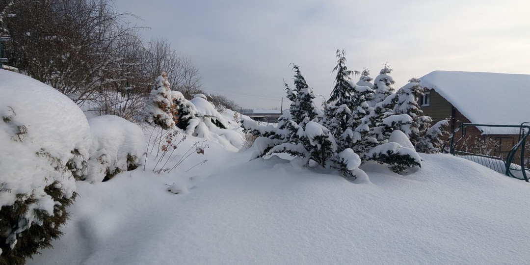 Снег всё делает красивее, тише и торжественнее – любое ожидание кажется не таким уж и долгим, когда вокруг снег