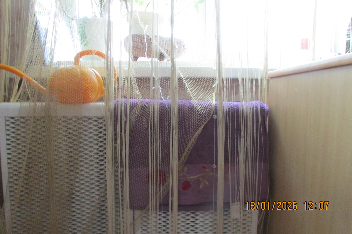 Фото Автора