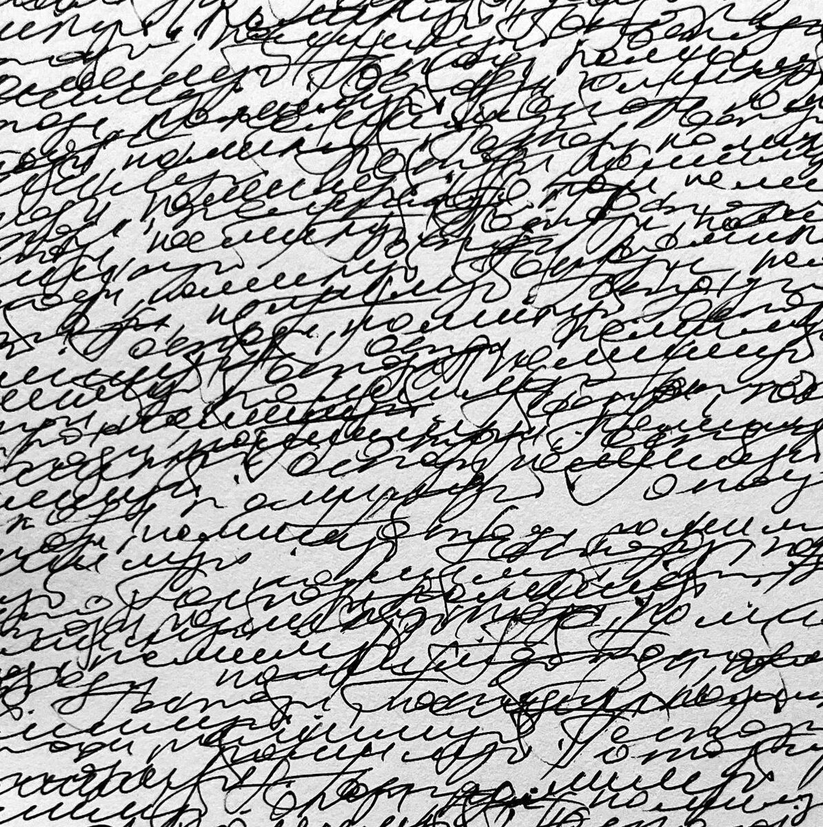 Фото: t.me/sveta_foton