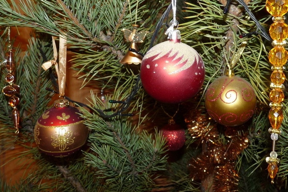    . Татьяна ПОДЪЯБЛОНСКАЯ