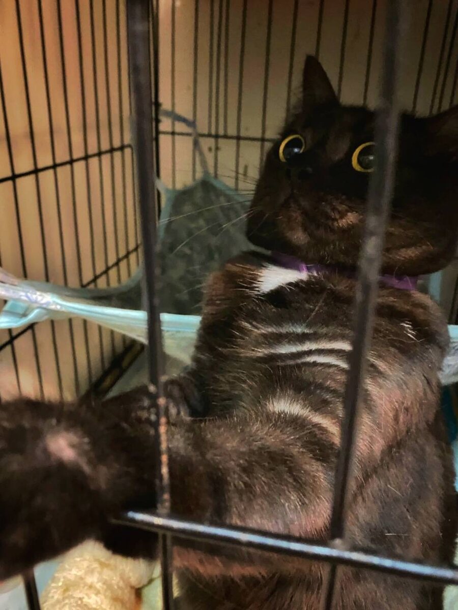 Кимберли оказалась в приюте по семейным обстоятельствам.