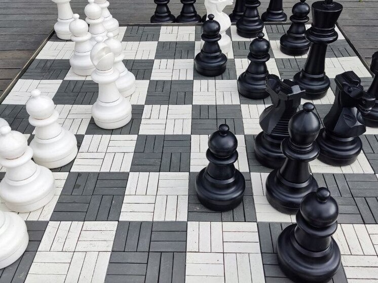     В Великом Новгороде провели шахматный турнир в честь 82-летия освобождения Новгорода от фашистов. фото: архив МК в Великом Новгороде