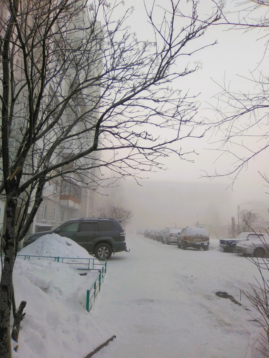 Примерно так у нас. Фото старое, в 2021ом был такой же мороз, но держался всего пару дней. Листайте галерею. Там новое фото автора, сделанное дома