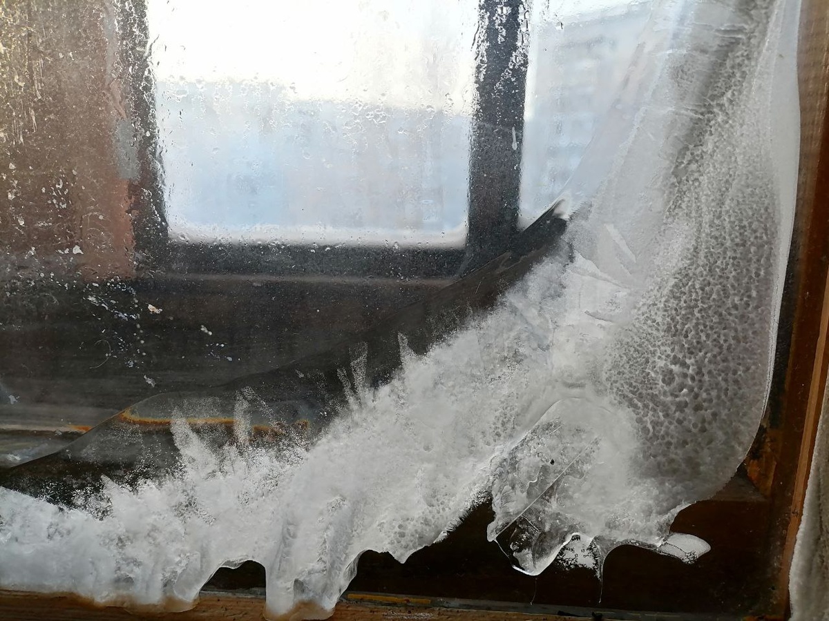 фото с кухни автора. дома за окном едва видны 