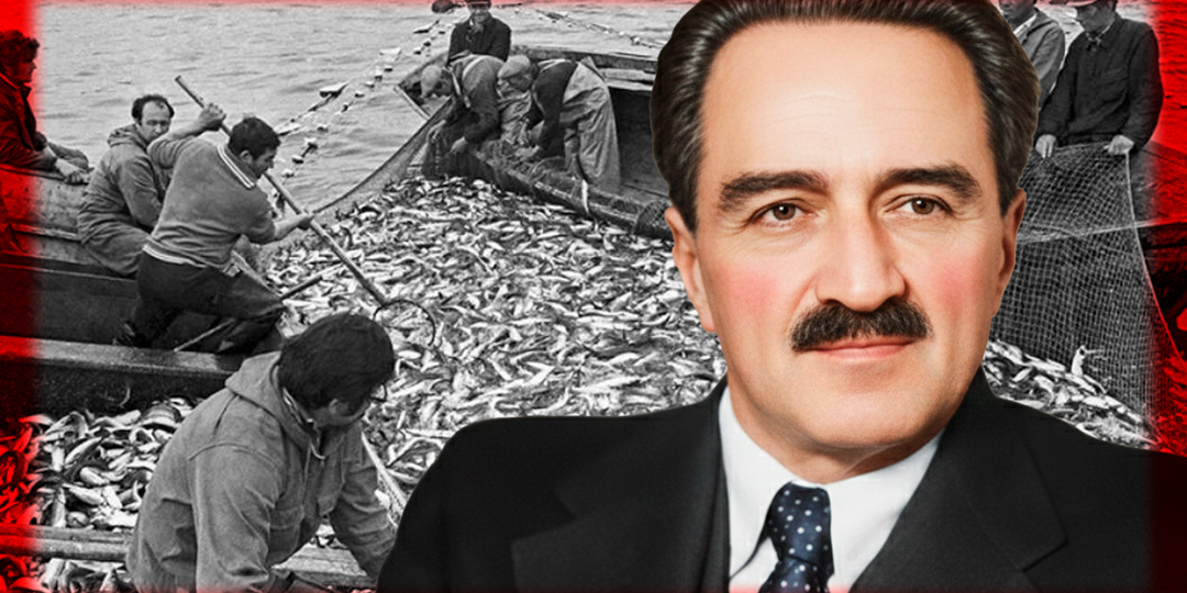 «Кошачья еда». Почему в четверг в СССР "давились"минтаем, даже если не хотели