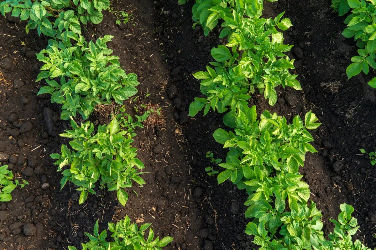    Источник изображения: ItRussia.Media