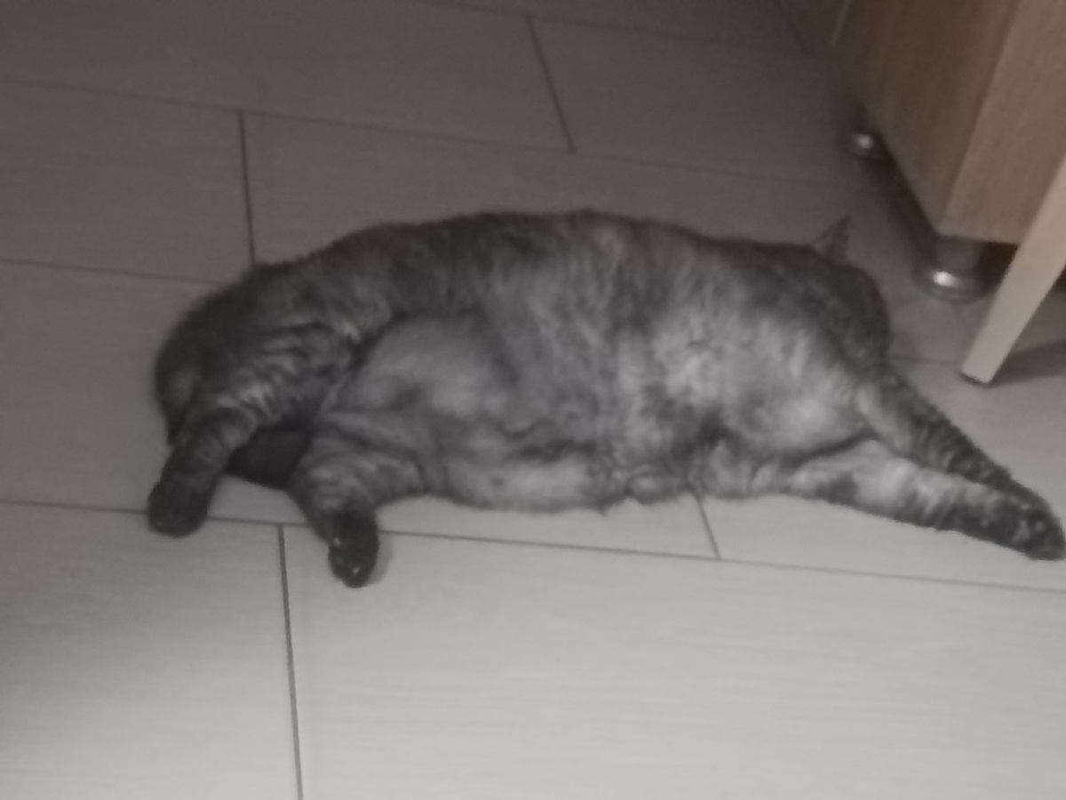 Некогда нам вот так на боку лежать. Куча дел, куча дел🤦‍♀️