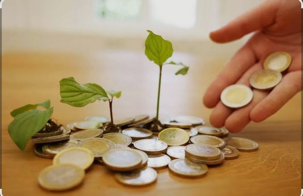 Фото взято из открытого доступа интернет.