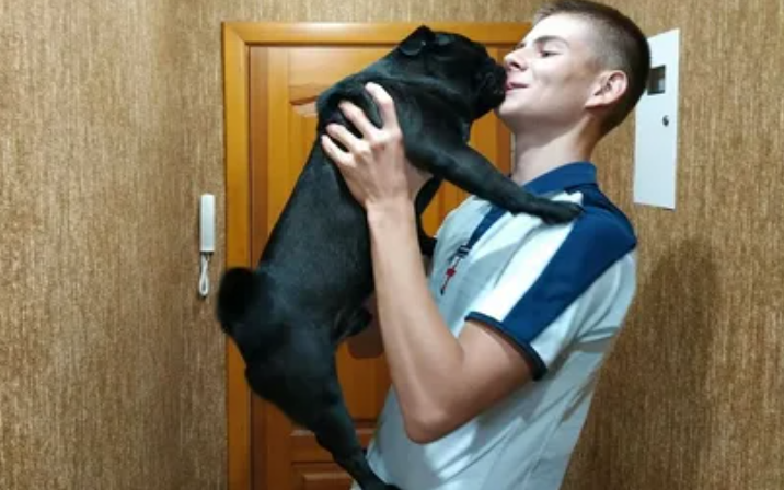 Насколько долго собака помнит хозяина? Как на самом деле работает память животных