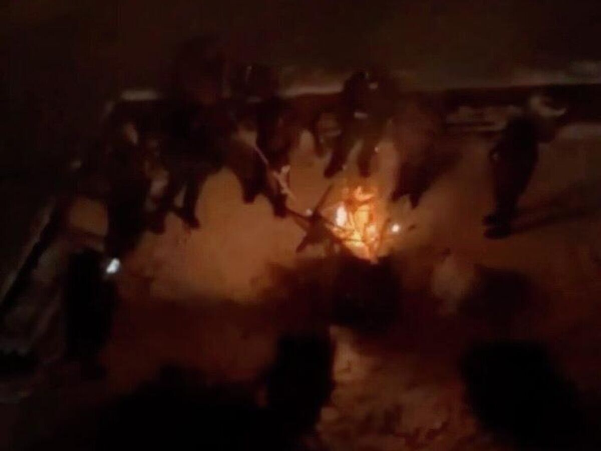    Люди греются у костра из выброшенных новогодних ёлок в Киеве | © Кадр видео из соцсетей