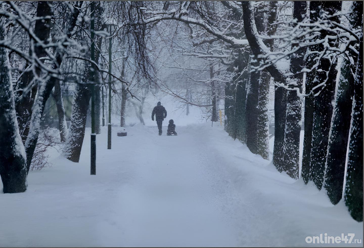 фото: Валентин Илюшин/Online47