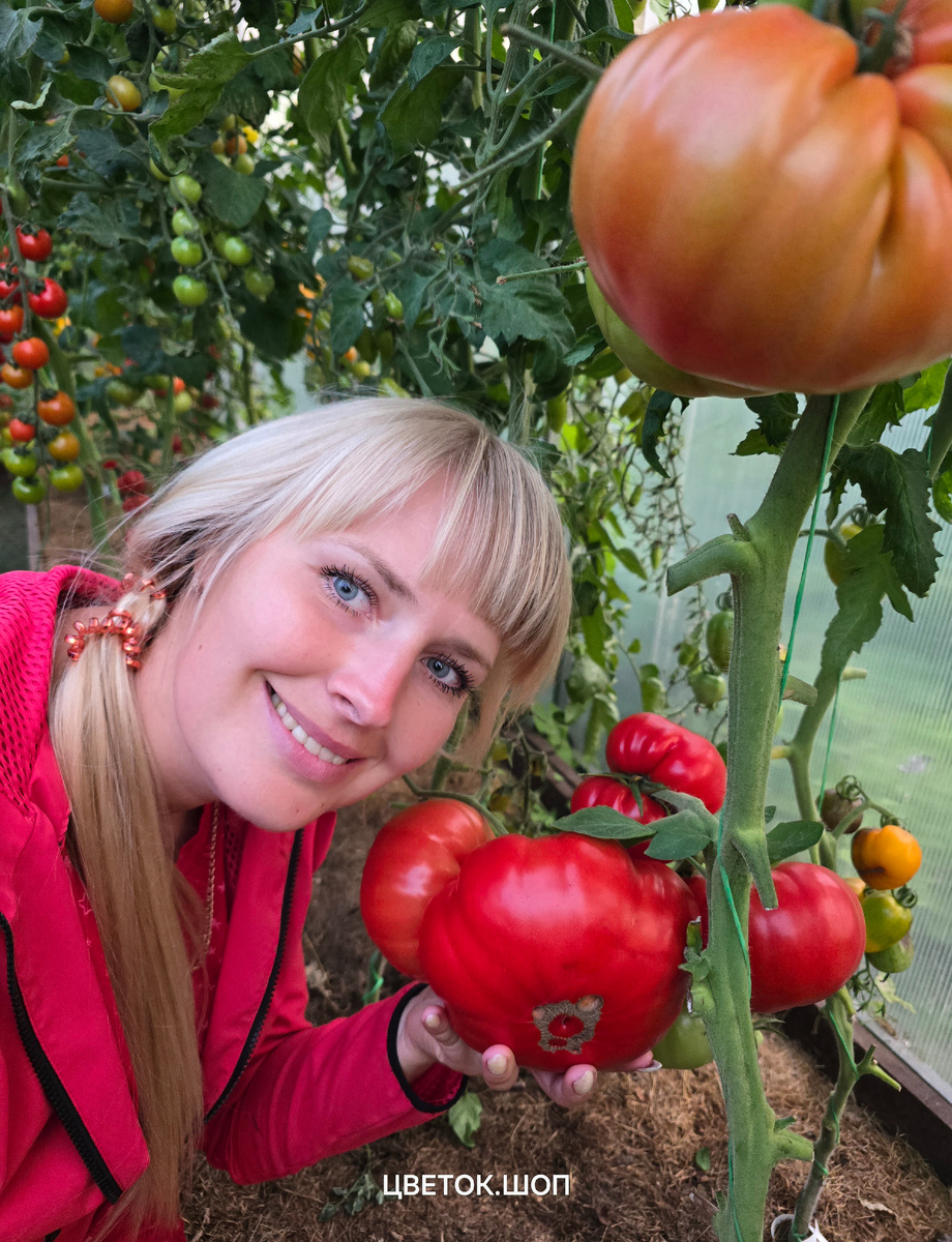 Я и мои урожаи