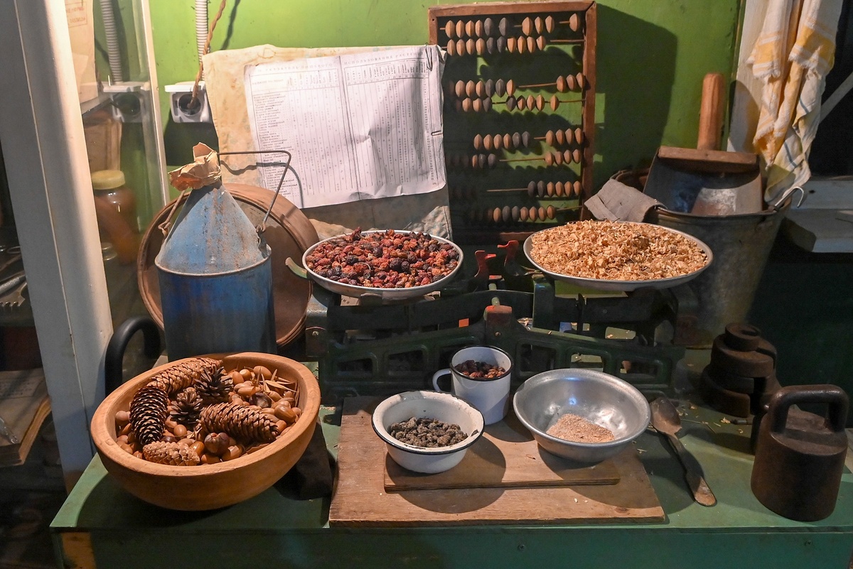    Святослав Акимов/ РГ