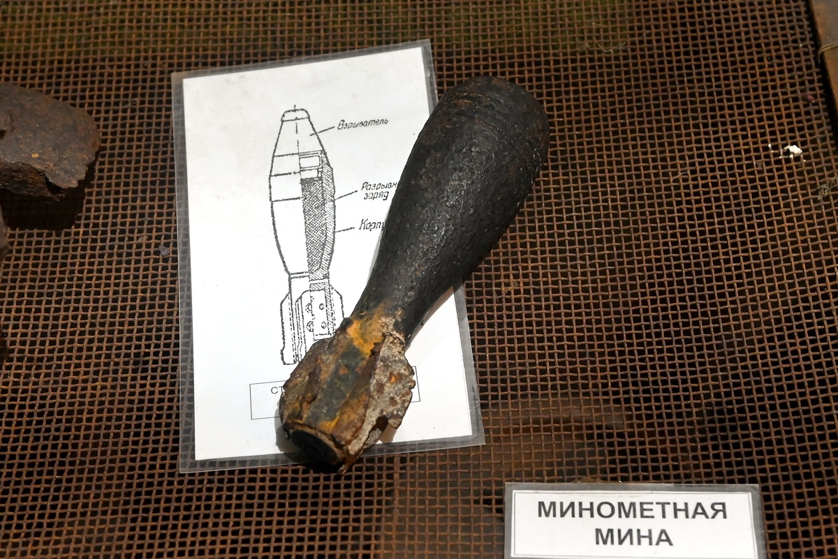    Святослав Акимов/ РГ