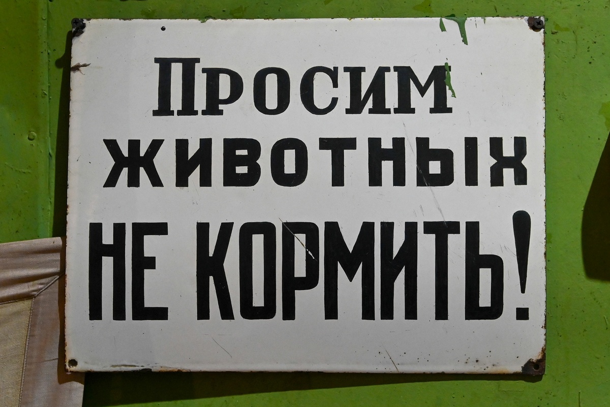    Святослав Акимов/ РГ