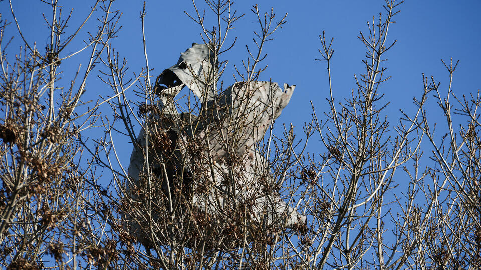     Двое детей и один взрослый пострадали при падении обломков БПЛА на дом в Беслане Александр Полегенько/ТАСС