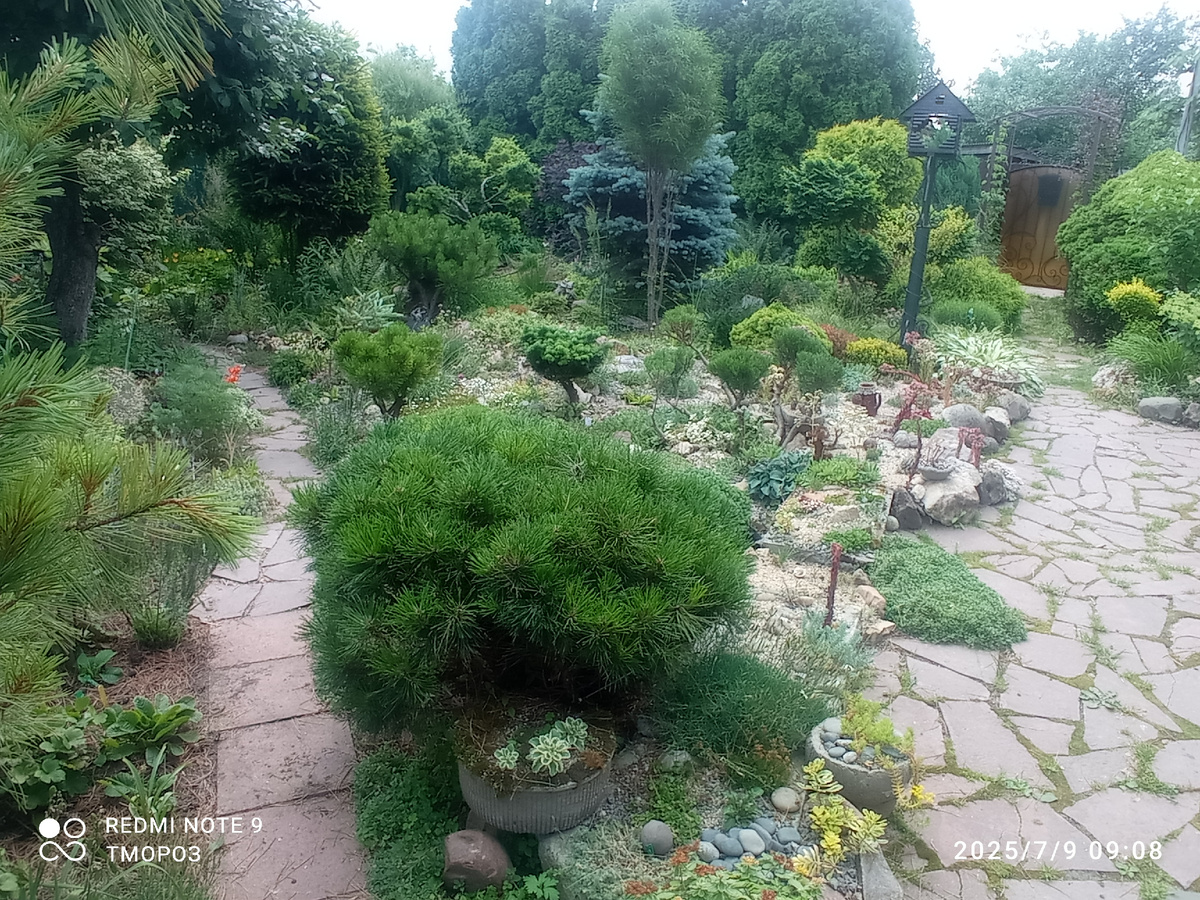 для понимания