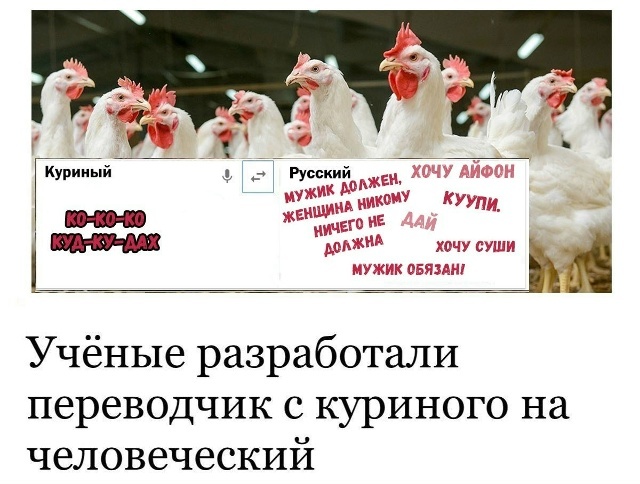 Смех из социальных сетей! Забавные шутки, забавные случаи и веселые рассказы. Фото взято из общедоступных ресурсов соцсетей.