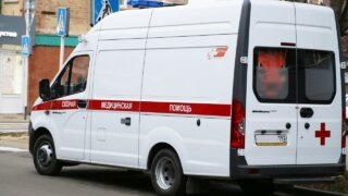    Светлана Лукошкина Юлия Виноградова