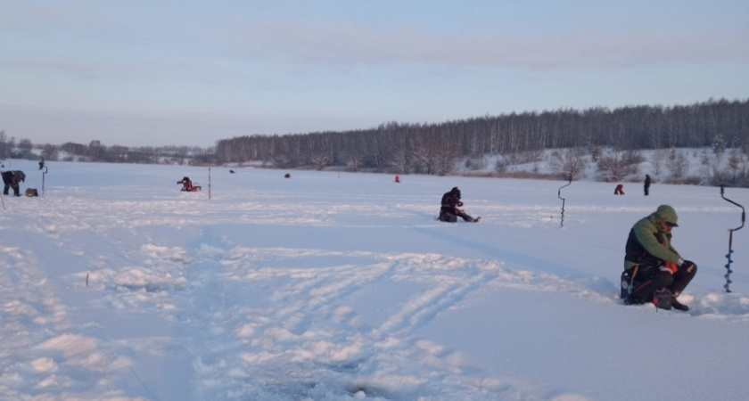   Федерация рыболовного спорта России