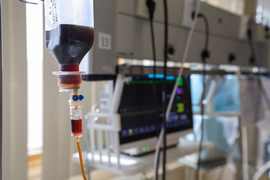    Алексей Белкин/NEWS.ru