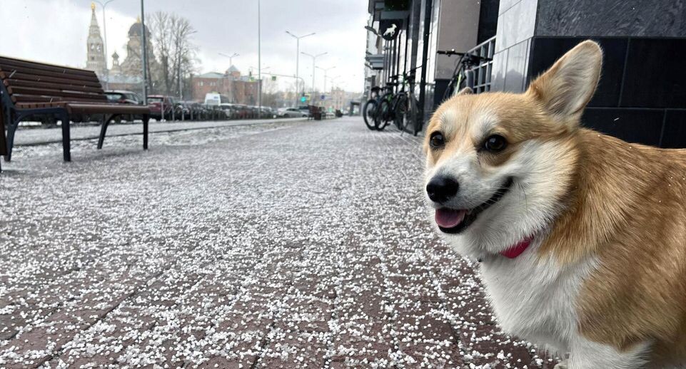    РИА «Новости»