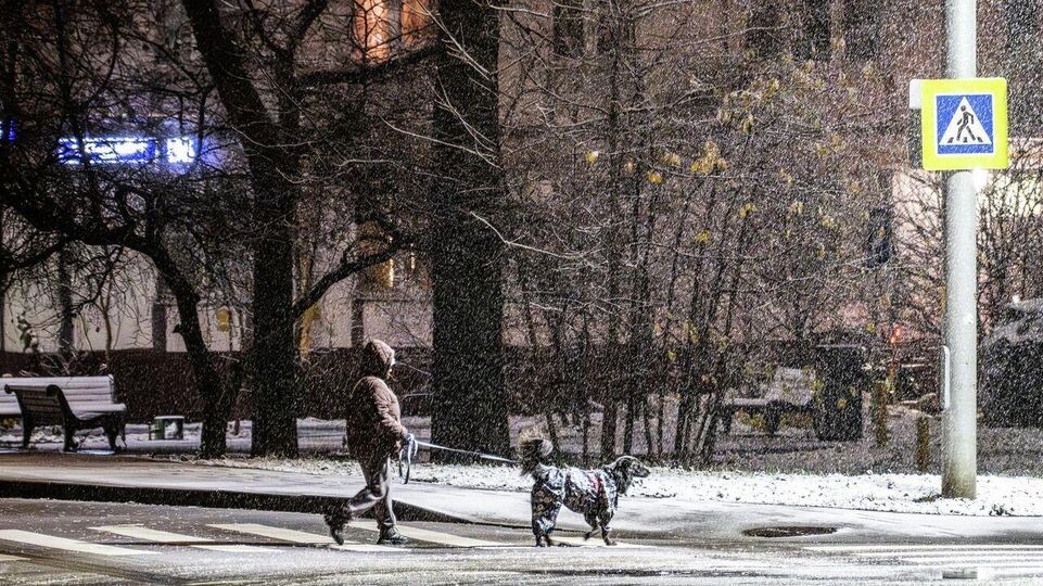    РИА «Новости»