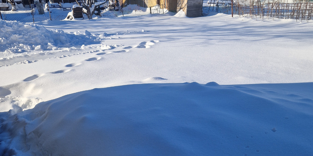 Не убирайте снег на участке!
