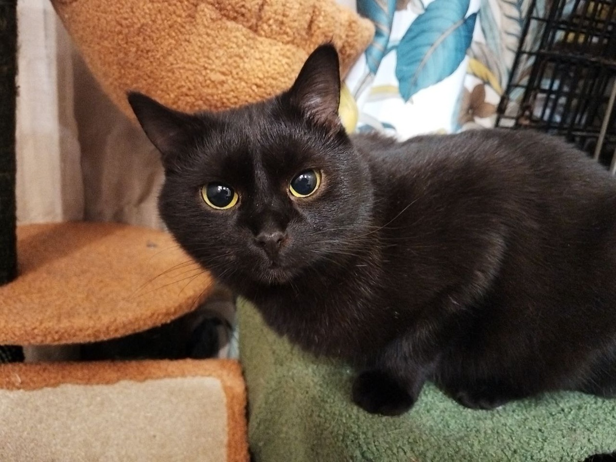 Даже позирую теперь! А раньше нельзя было даже посмотреть, потому что кто ж вас тогда так хорошо знал?