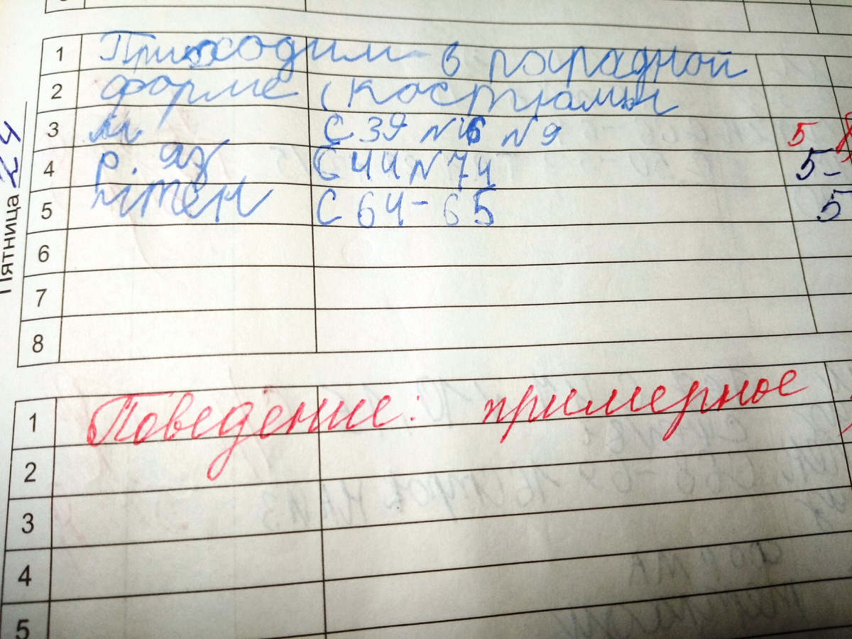 Страничка из дневника в 3 классе