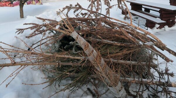    © РИА Новости . Виталий Белоусов