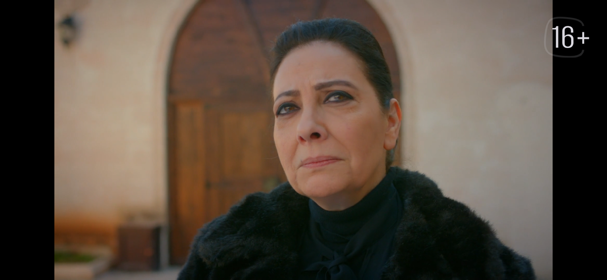 Стоп кадр из сериала «Ветренный»