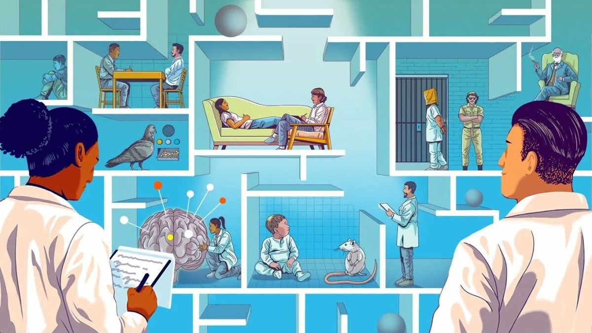 Настоящая психология рождается не только в книгах, но и в исследовательской работе. Практикум учит методологии научного поиска