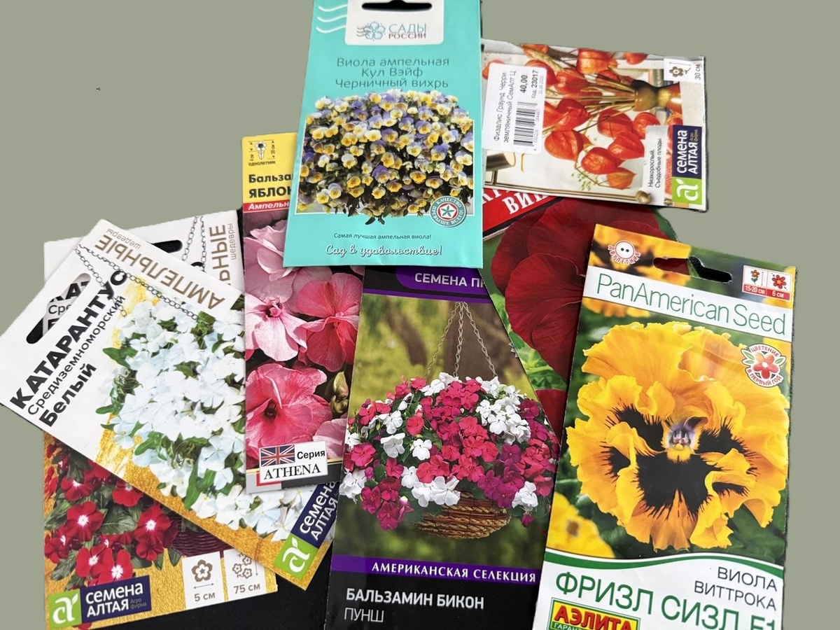 Часть семян для выращивания в 2026 году