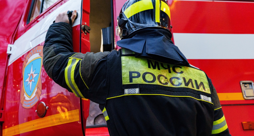    Олеся Чепурченко/ТАСС, архив