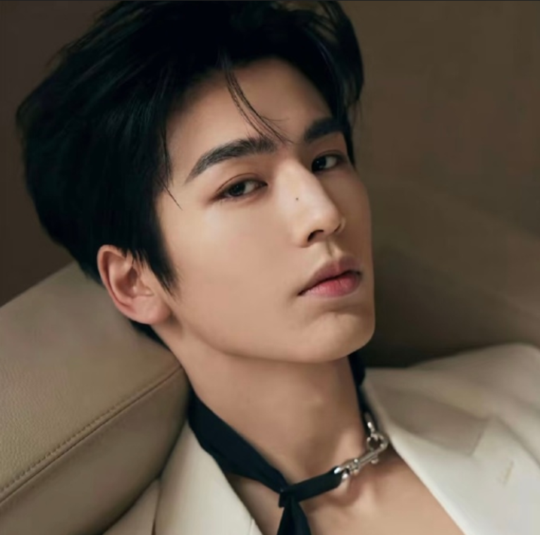 Китайский актер Чжан Линхэ.